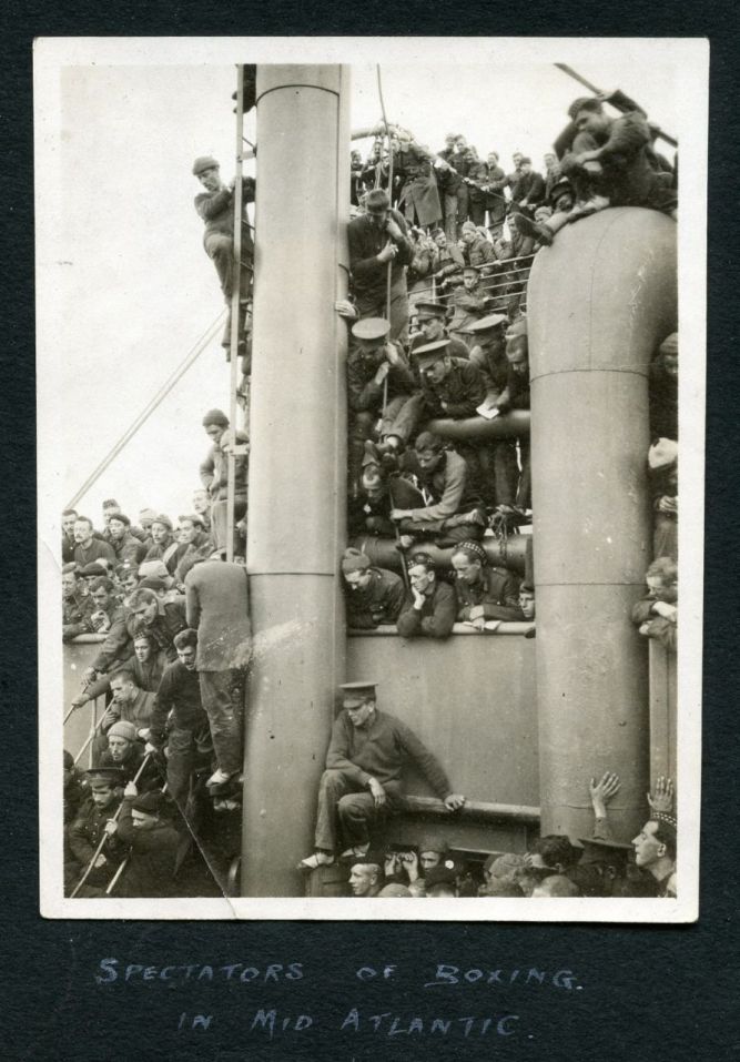 Andania003 - Version 2