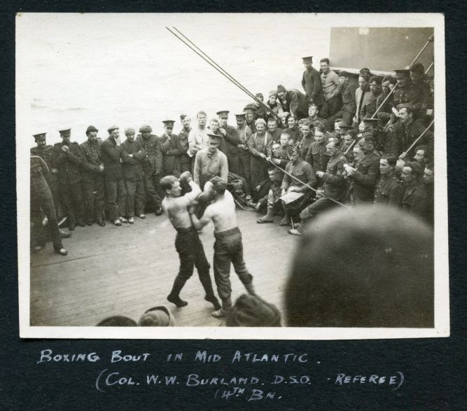 Andania004 - Version 3