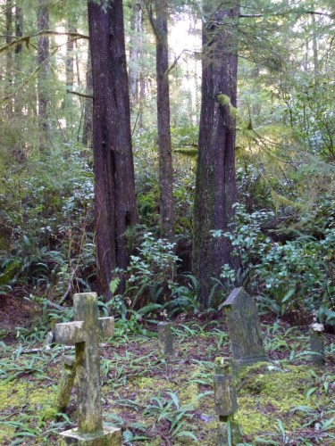 Nature encroaches on Morpheus Island's cemetery