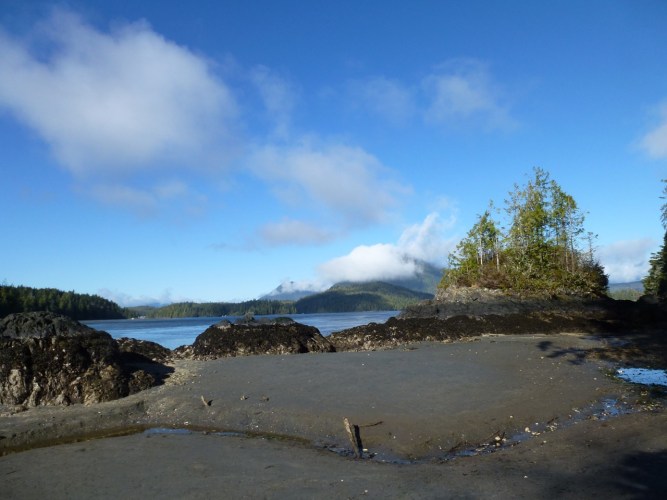 A small beach near the trailhead on Morpheus Island