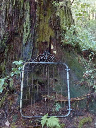 Morpheus Island Cemetery